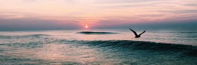 samidavis_'s profile banner image