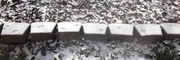 SusanGreyWrites Profile Banner