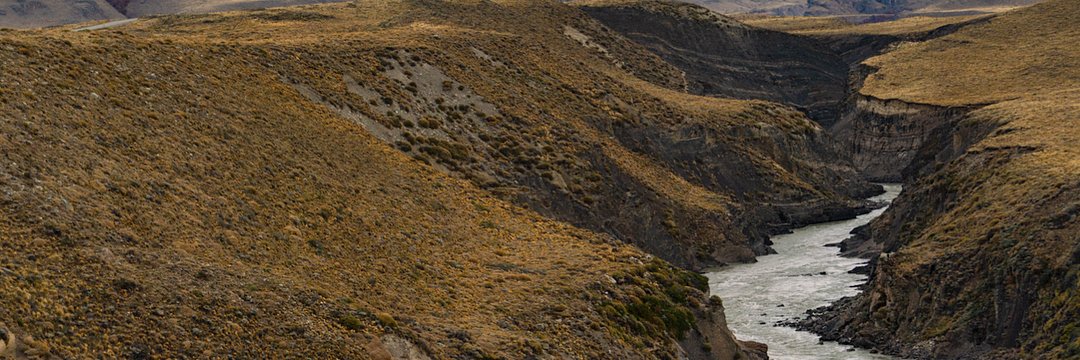 walkersglobal.eth banner