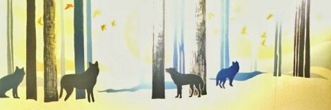 andireijuan's profile banner image