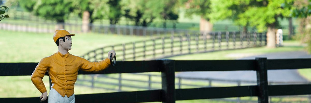 Claiborne Farm Bloodlines's banner