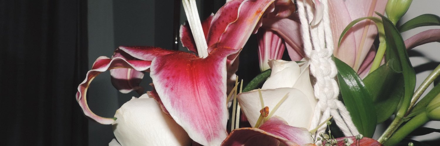sophhPerry's profile banner image