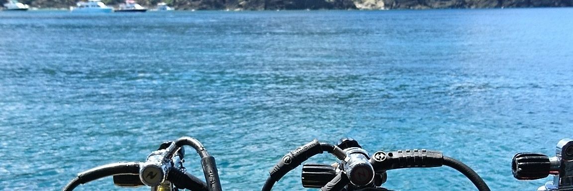 bosovo's profile banner image
