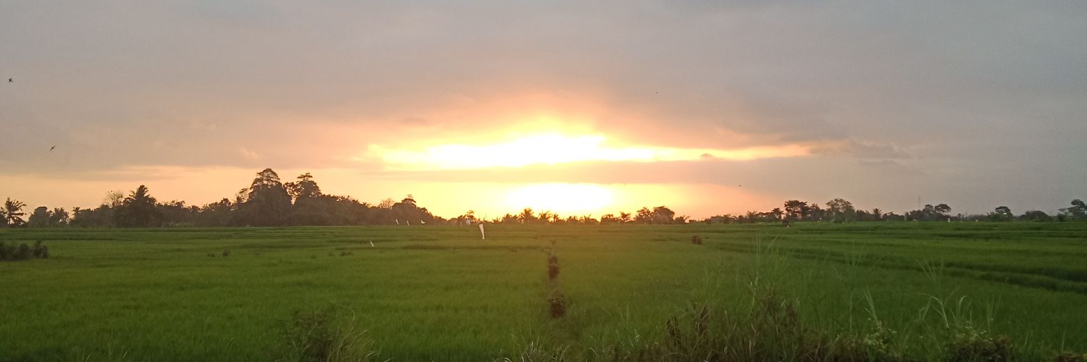 ratindiaa's profile banner image
