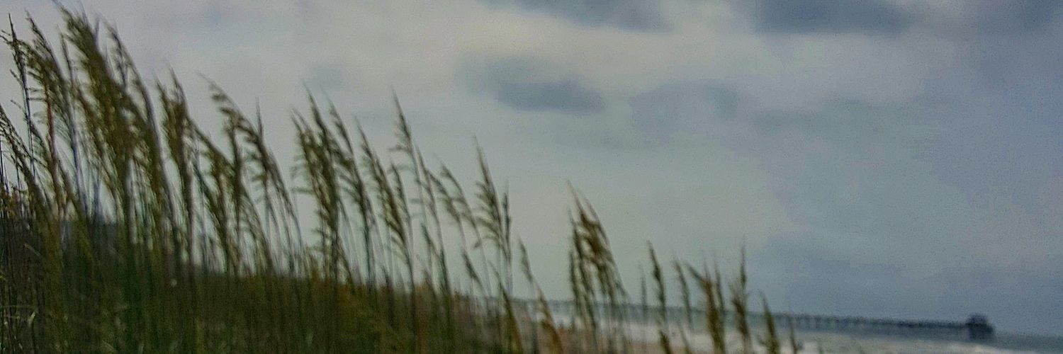 RebeccaRyanH's profile banner image