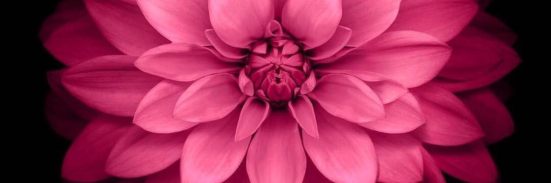 harrypixels's profile banner image