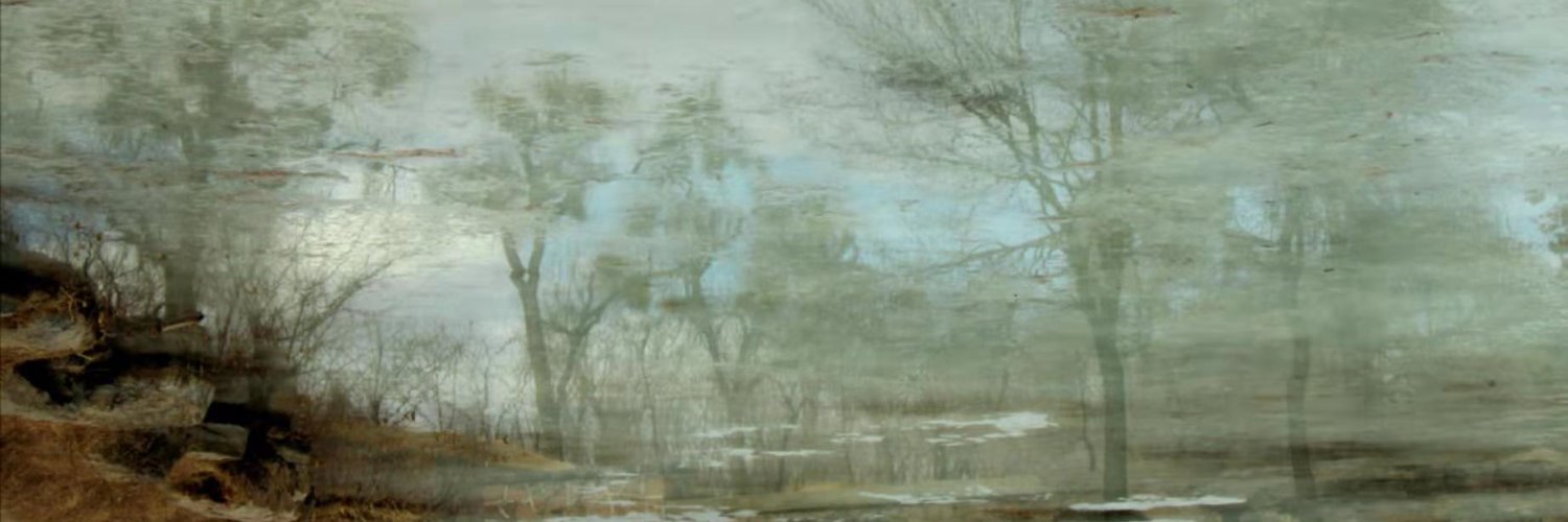 SydneyLeake's profile banner image