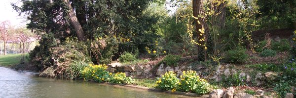 DixieDillonLane Profile Banner