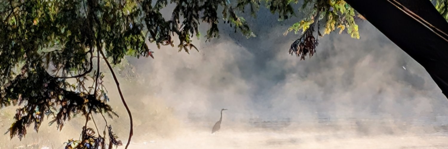 Shanesnotes_'s profile banner image