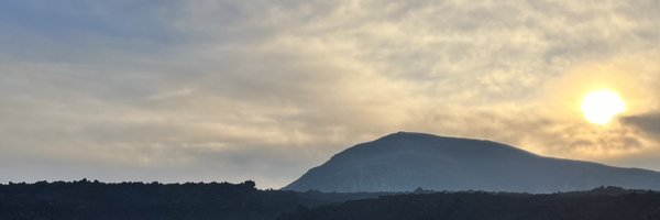 Ro_Patel Profile Banner