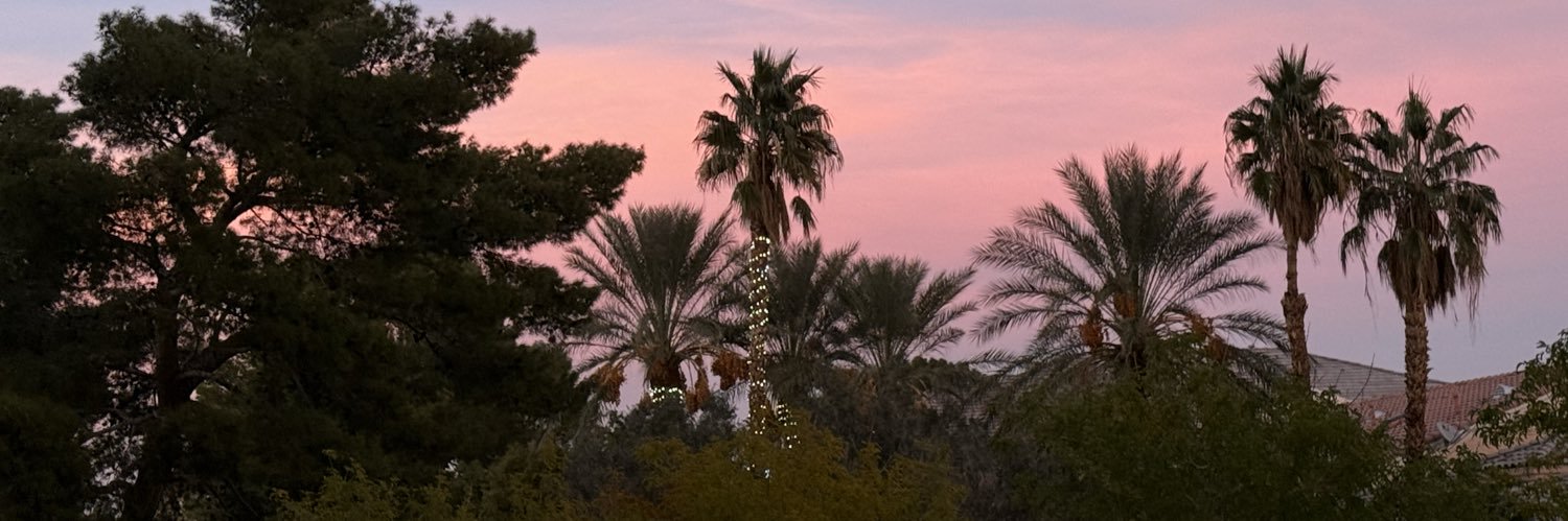 CyndeeMN's profile banner image