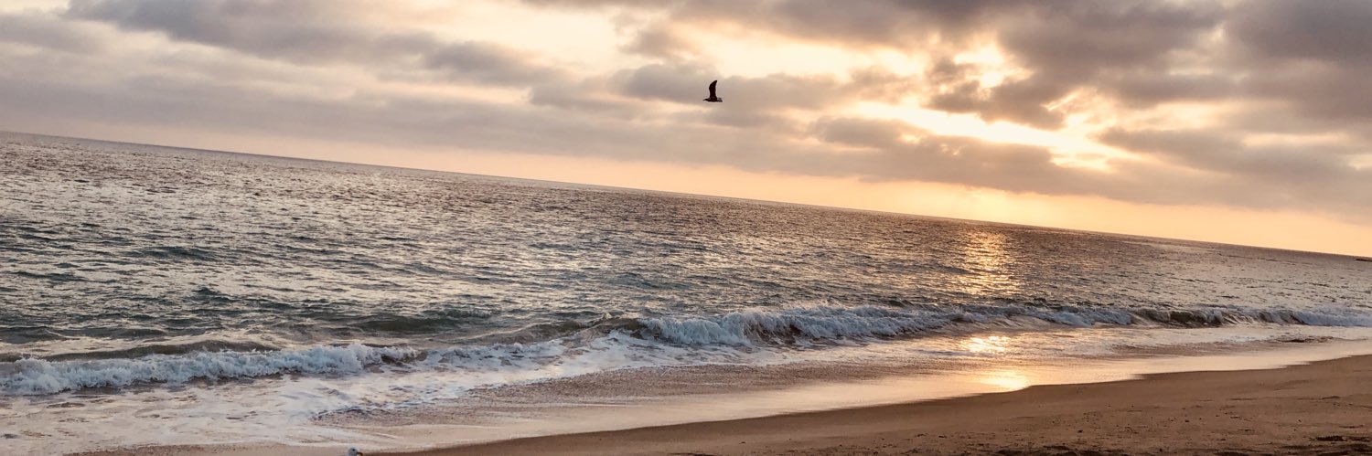 edithayala24's profile banner image