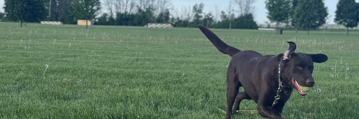 Ty 🇨🇦🇺🇦 banner