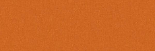 bbhaushold's profile banner image