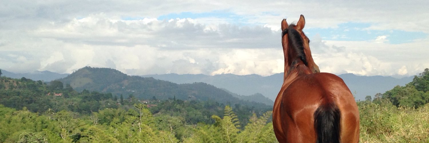 LloredaAdri's profile banner image