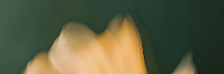isapmr_'s profile banner image