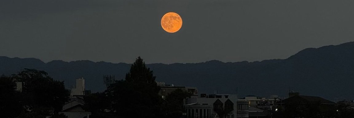this is Milan. banner