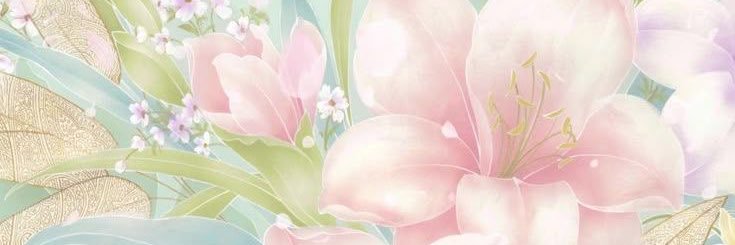heartshapeddoe's profile banner image