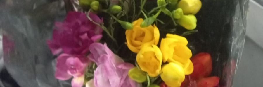 zulybn's profile banner image