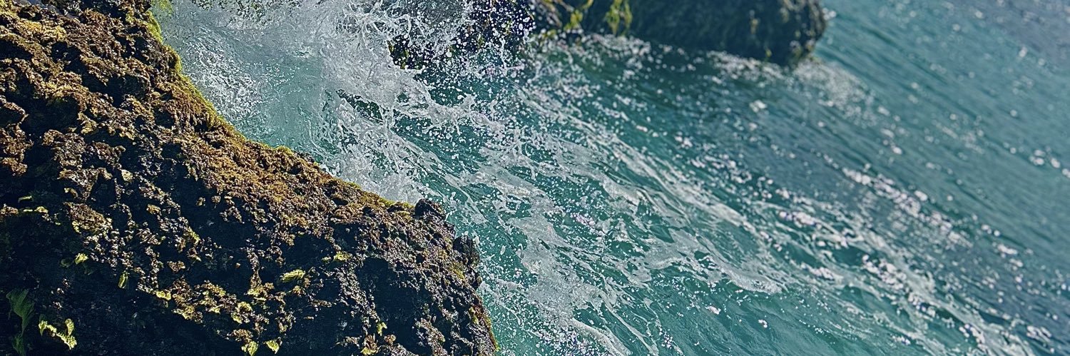 ChaabiineLockse's profile banner image