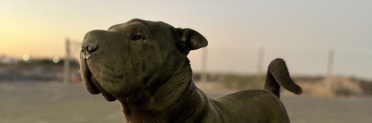 agusberdu's profile banner image