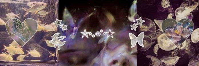 winnsical's profile banner image