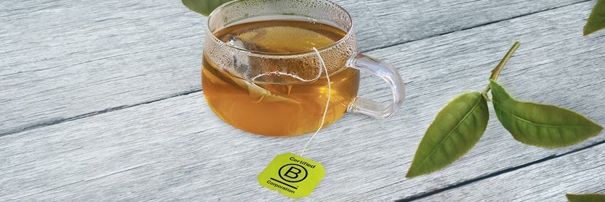 Bigelow Tea Official banner