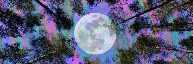 platglitter's profile banner image