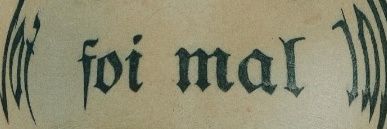 Siebrinha🐊 banner