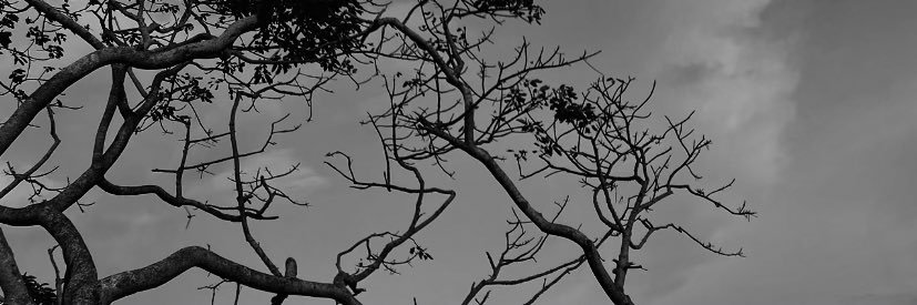 Knt0T_'s profile banner image