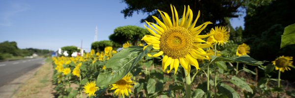 kuwarld Profile Banner