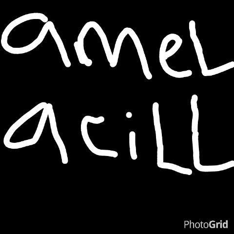 amelacill's profile banner image