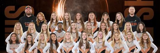 Farmington Tigers Gymnastics banner