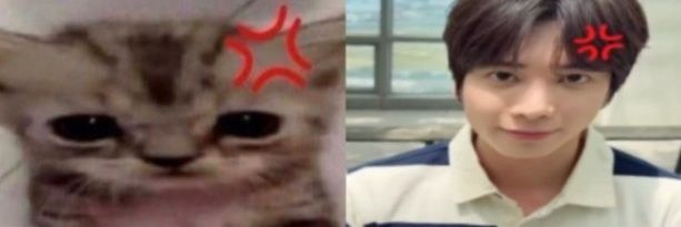 isa! ▒▒🍮 banner