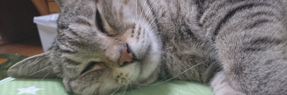 castor4696's profile banner image