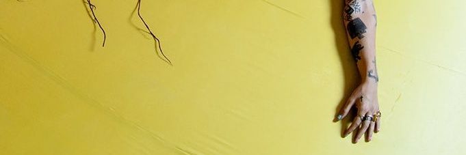 serendia 🐝💙💚🦋 banner