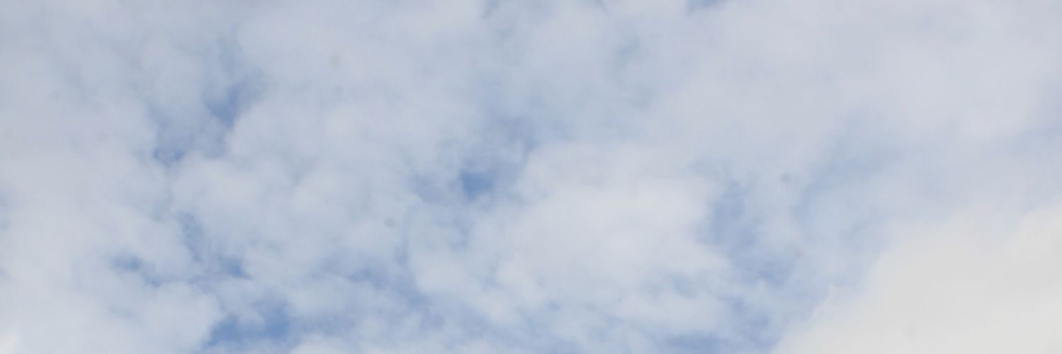 nisrinatss's profile banner image