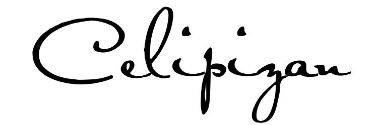 celipizan's profile banner image