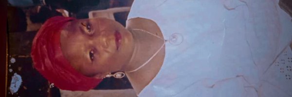 pharatechh Profile Banner