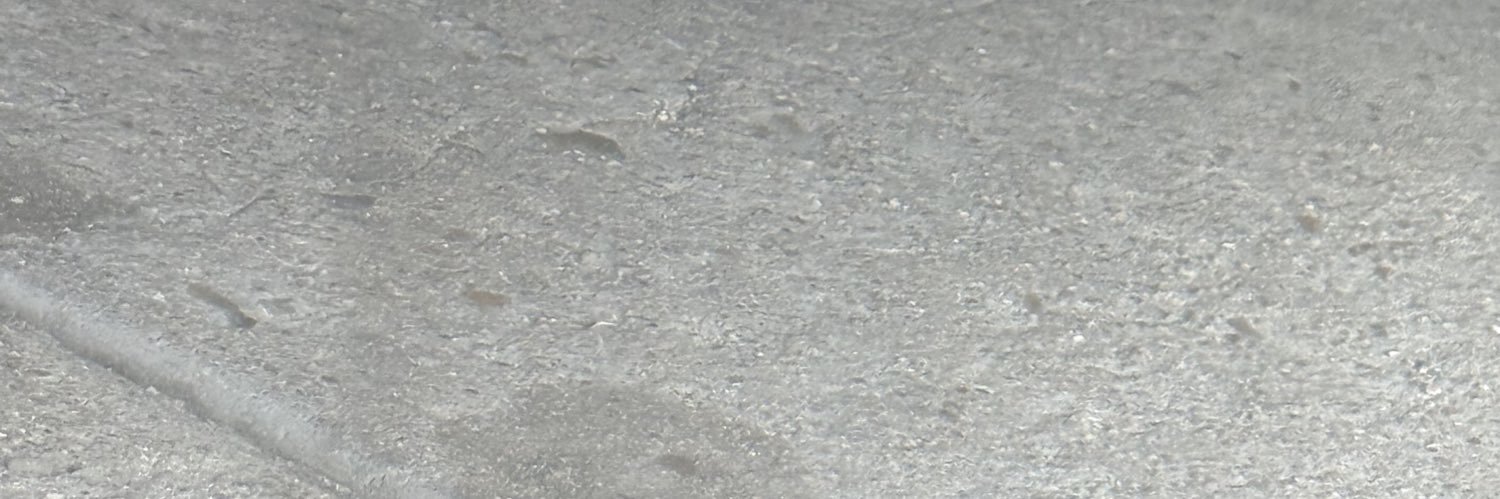 ssussaucees's profile banner image