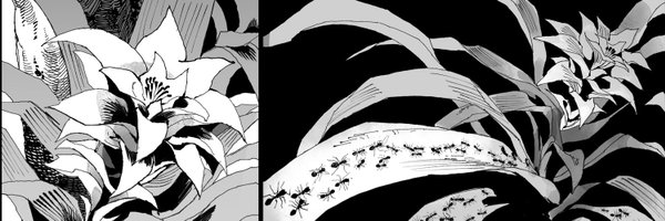 ngmanhho Profile Banner