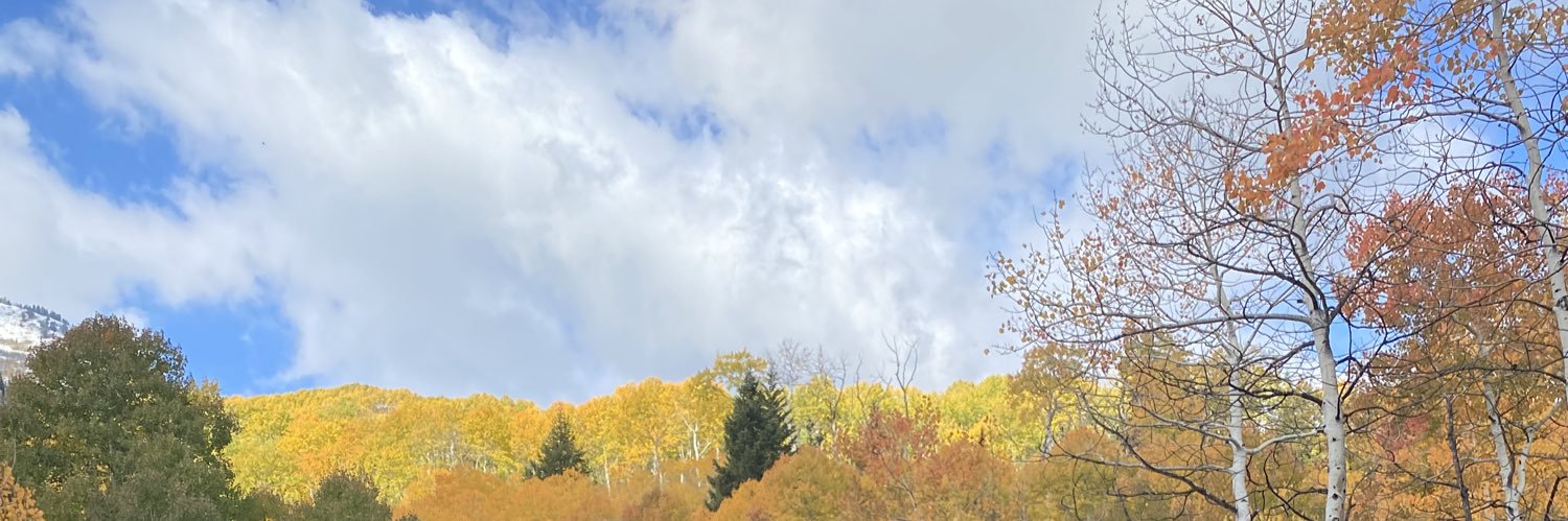 veeteeemm's profile banner image