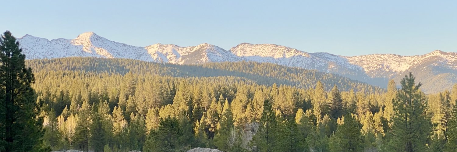 Sage of the Mountain's banner