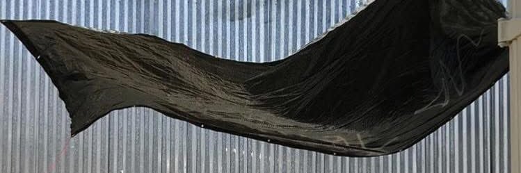 charrrrro's profile banner image