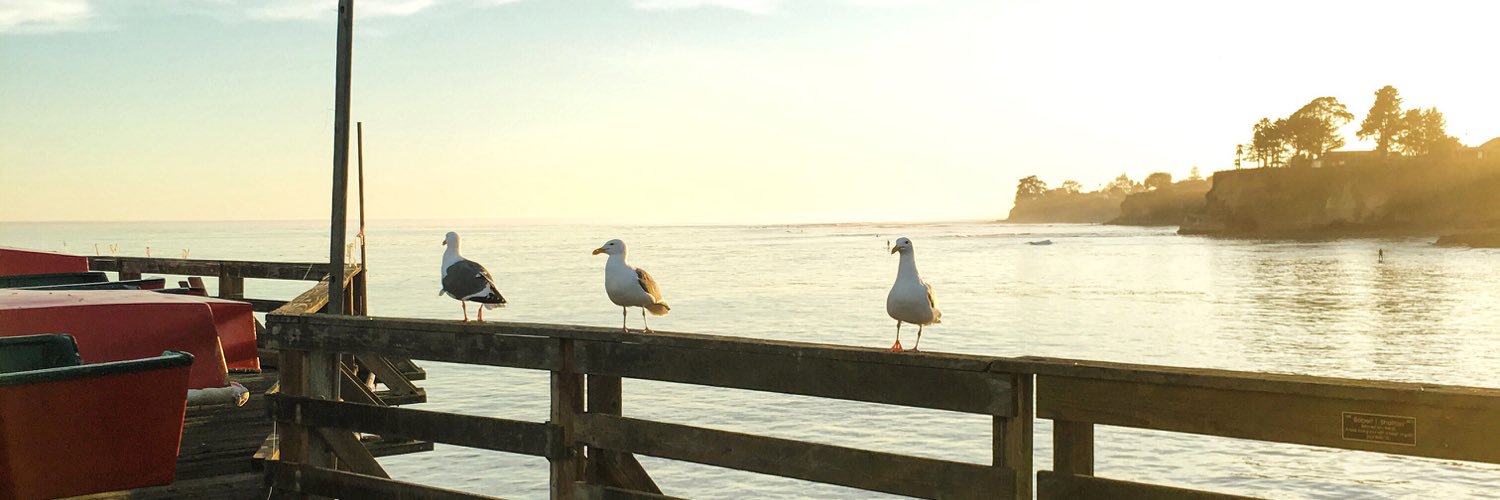 Andrea Drugay banner