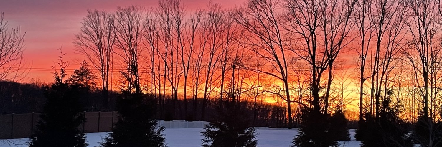 Uncle B🌲 👽 🌲 banner