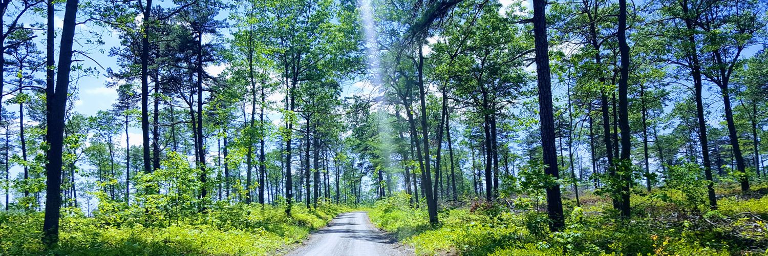 Jason Gavenonis banner