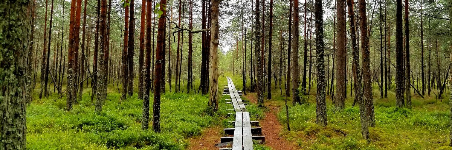 Cayce Merrill banner