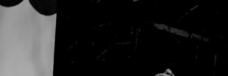 whiteflamerms's profile banner image