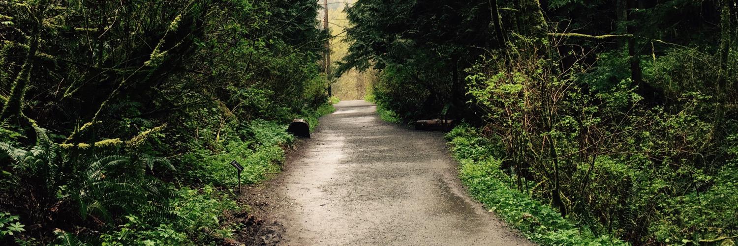 Trevormarkowitz's profile banner image